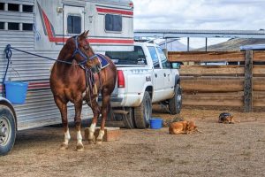 Fifth Wheel Hitch