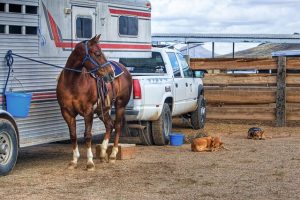 Fifth Wheel Hitch